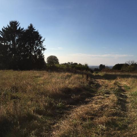 Terrain Aiglemont n°15 - 472 m2